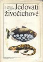 hlavn obrzek