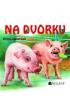 obrzek 0