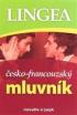 obr�zek 0