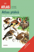 hlavn� obr�zek