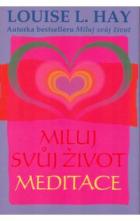 hlavn� obr�zek