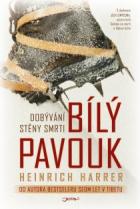 hlavn� obr�zek