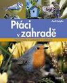 hlavn� obr�zek