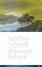 hlavn� obr�zek