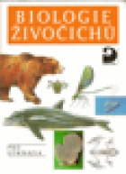 hlavn obrzek