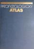 Patofyziologick atlas