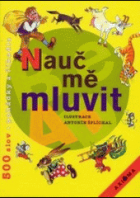 hlavn� obr�zek