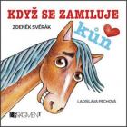 hlavn� obr�zek