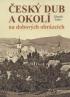 obrázek 0