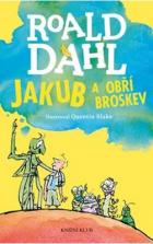 hlavn obrzek