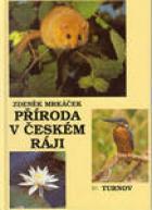 hlavn obrzek