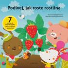 hlavn� obr�zek