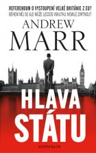 hlavn� obr�zek