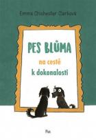 hlavn� obr�zek
