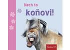 hlavn� obr�zek