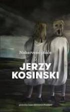 hlavn obrzek
