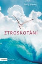 hlavn obrzek