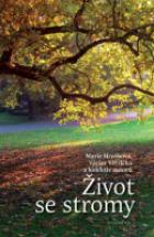 hlavn obrzek