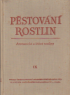 Pstovn rostlin- Aromatick a liv rostliny