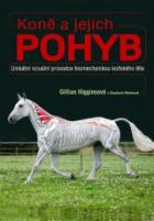 hlavn� obr�zek
